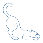 gato icon