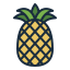 Ananas icon