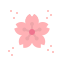 Sakura icon