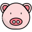 12 Pig icon