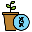 gmo icon