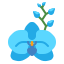 Orchidée icon
