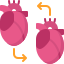 Heart Transplantation icon