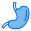 Stomach icon