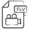 Flv Document icon
