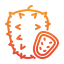 soursop icon
