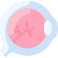 eyeball icon