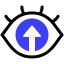 vision icon