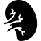spleen icon