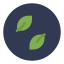 leaf icon
