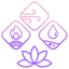 ayurveda icon