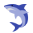corpo di squalo icon