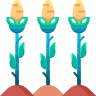 Corn field icon
