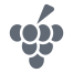 grapes icon