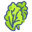 lettuce icon