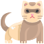 ferret icon