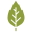 Elm Leaf icon