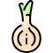 onion icon
