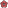 blossom icon