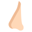nose icon