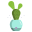 Cactus icon