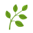 草本植物 icon