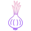 Onion icon