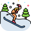 Esquiar icon