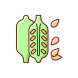 sesame icon