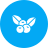 cherries icon