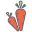 carrots icon
