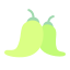 externo-caiena-vegetal-flat-lima-studio icon