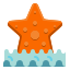 Stella marina icon