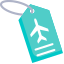 Travel Tag icon