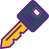 Key icon