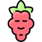 raspberry icon