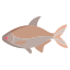 Bream Fish icon