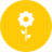 Blossom icon