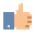 Facebook Like icon