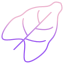 leaf icon