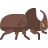 코뿔소 딱정벌레 icon