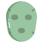 Facial Mask icon