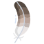 Duck Feather icon