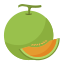 Melón icon