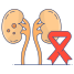 Kidney Cancer icon
