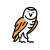 owl icon