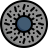 anatomy icon