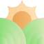 sunrise icon