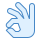 Ok Hand icon