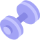 dumbbell icon